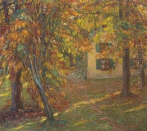 A House In A Sunlit Woodland Clearing