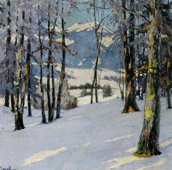 The Karwendel Mountains In The Snow - view 1