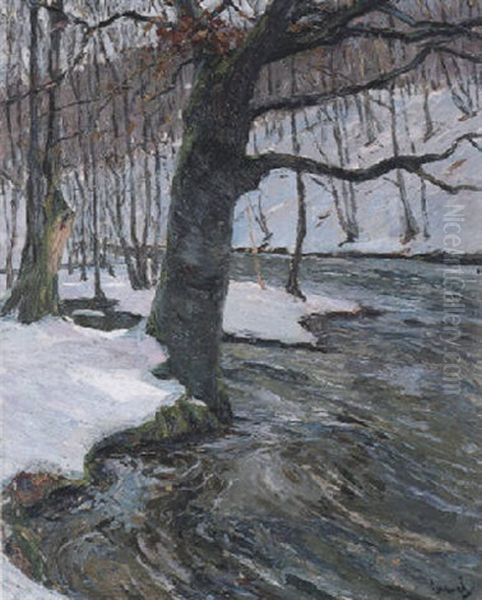 Winterliche Waldlandschaft - view 1