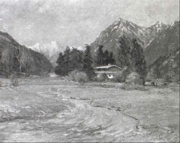Alpelandskab Med Hytte - view 1