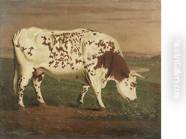 The Blackwell Ox - view 1