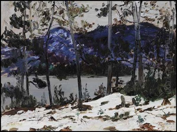 Palisades Through The Trees - view 1