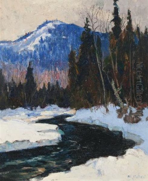 Spring Break-up, Cache River - view 1