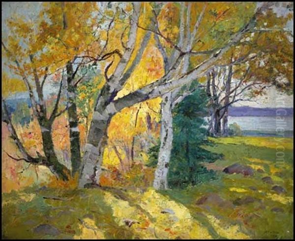 Sunny Day, Ile D'orleans - view 1