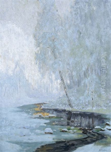 Hoar Frost And Snow - view 1