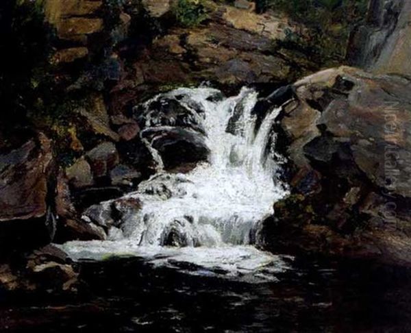 Falls On The Cache River - view 1