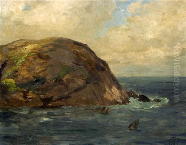 Coast Of Newfoundland - view 1