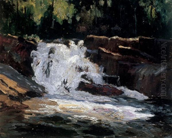 Waterfall, Little Cache River - view 1