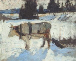 Ox In Snow Ox In Snow