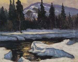 Paysage D'hiver Dans Les Laurentides