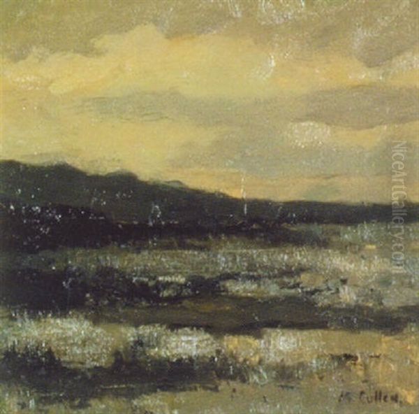 Landscape At Dusk - view 1