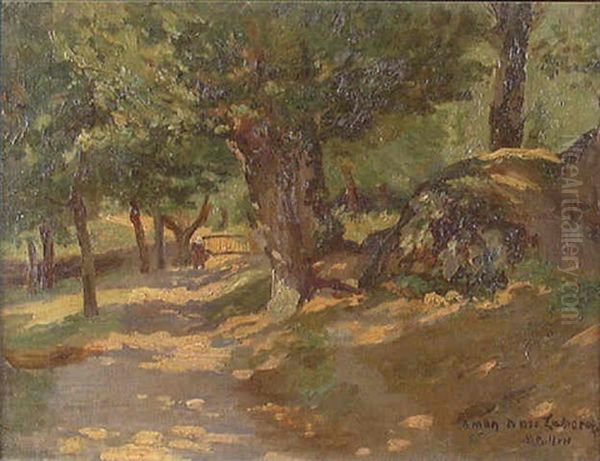 A Walk Through A Sunlit Woods - view 1