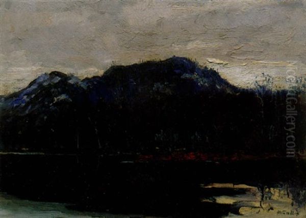 The Palisades From The Cache River - view 1