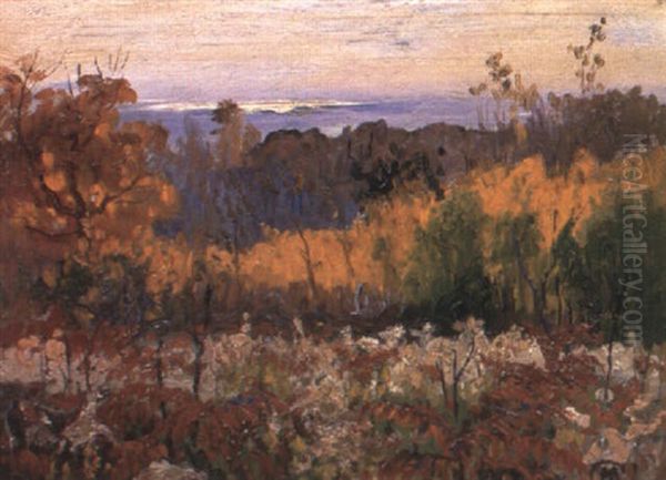 Spring, View From Mount Royal - view 1