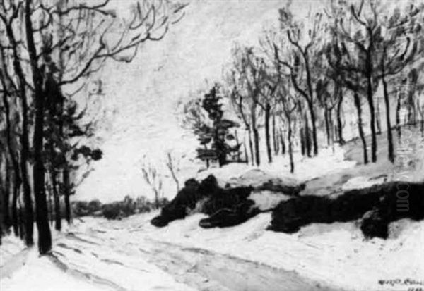 Winter, Mount Royal - view 1