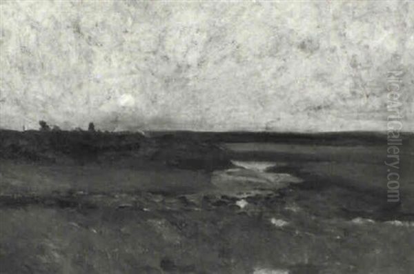 Gasp, Marshes - view 1