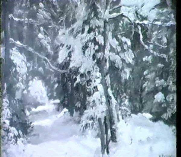 The Double Road - view 1