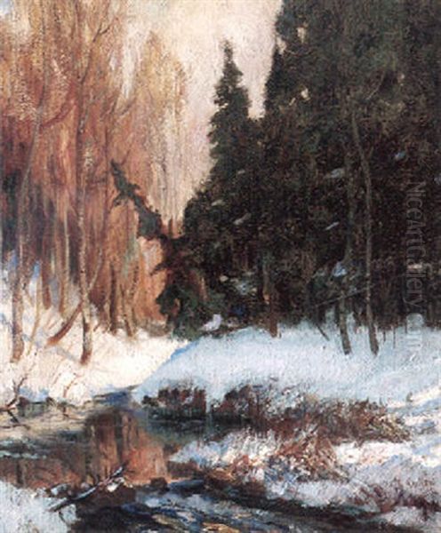 The Little Cache River - view 1