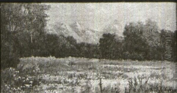 Western Landscape With Snow-covered Peaks, Meadow At The Foreground - view 1