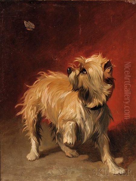 Terrier With Butterfly - view 1