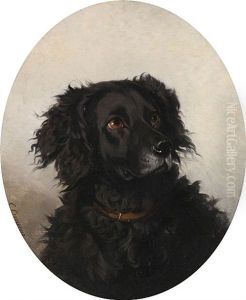 Dog by Conradyn Cunaeus