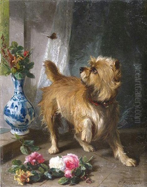 A Norwich Terrier Chasing A Butterfly - view 1