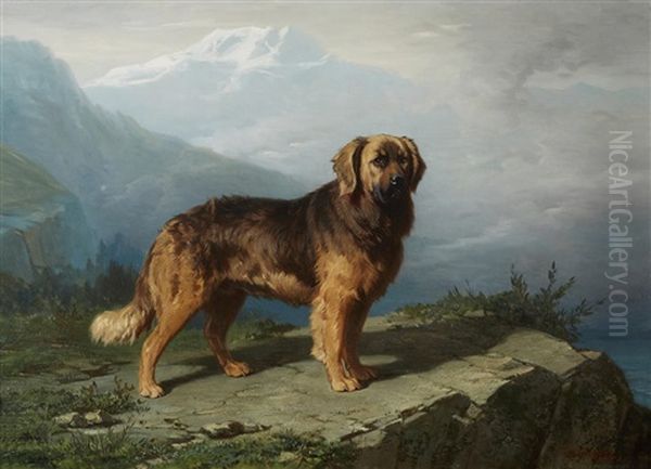 A Leonberger In An Alpine Setting - view 1