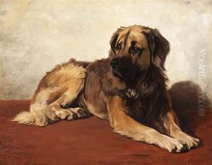 The Faithful Leonberger