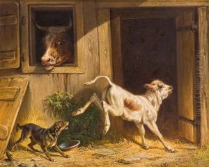 Bockiges Kalb Mit Hofhund