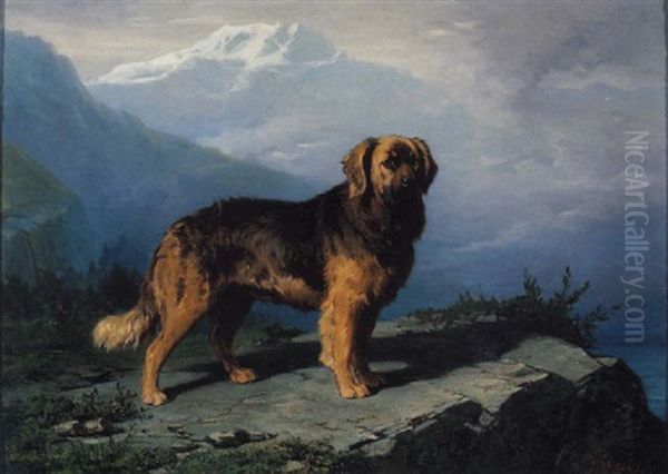 Leonberger Atop A Mountain - view 1