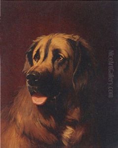 Leonberger by Conradyn Cunaeus