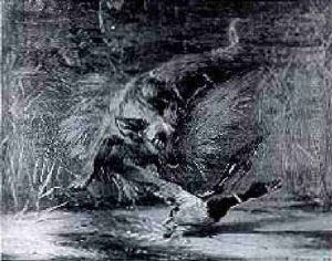 Spaniel Putting Up A Mallard by Conradyn Cunaeus