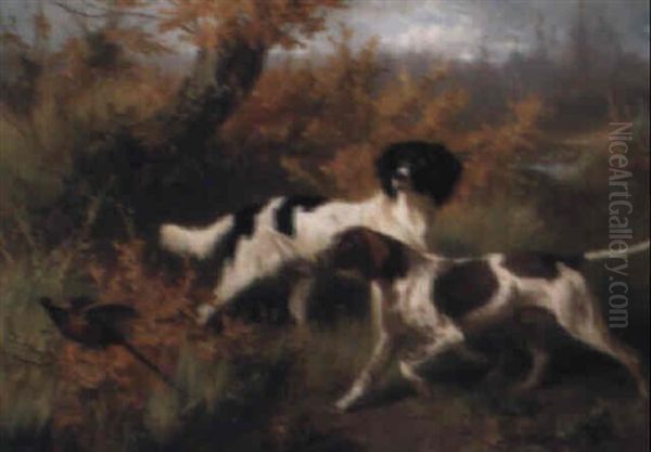 Two Spaniels Putting A Pheasant - view 1