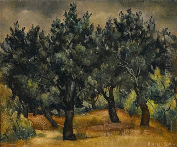 View Of A Grove - view 1