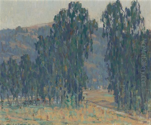 A View Through The Trees - view 1