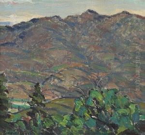 Distant Hills
