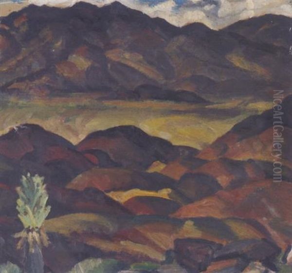 Panamint Valley - view 1