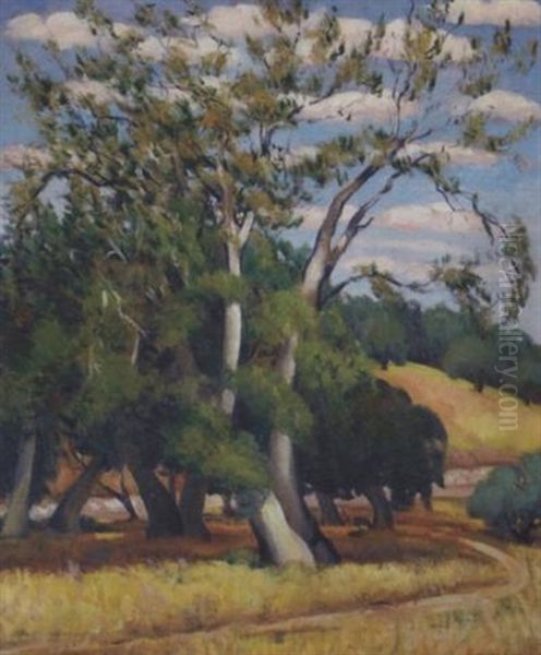 A Country Road Through The Trees - view 1