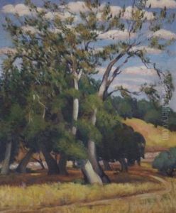 A Country Road Through The Trees