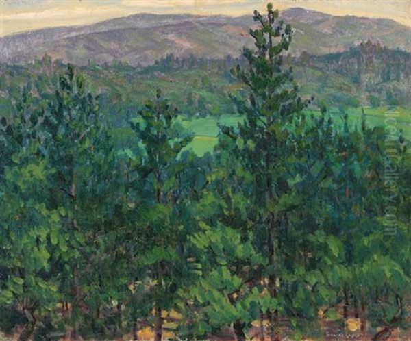 Wooded Landscape - view 1