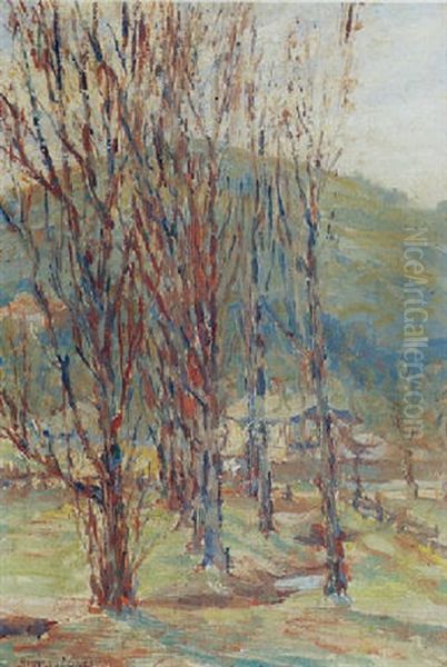 Trees Near A Ranch - view 1