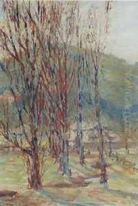 Trees Near A Ranch