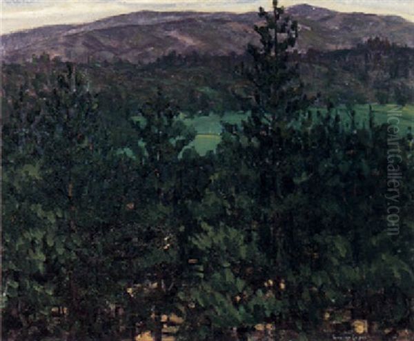 A Valley Viewed Through Trees - view 1
