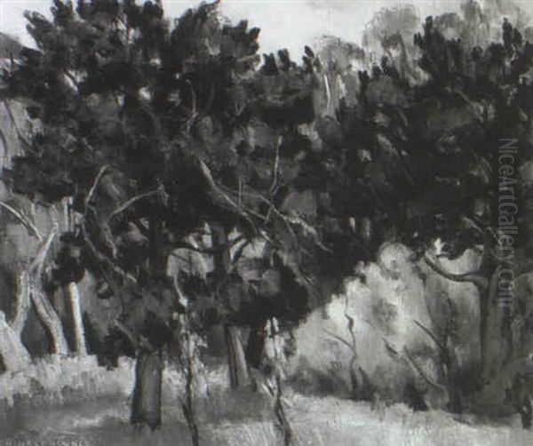 The Woods - view 1