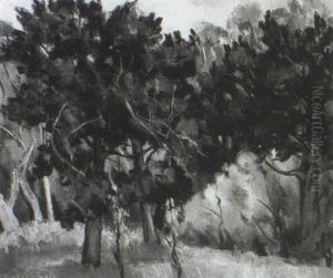 The Woods