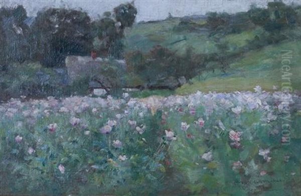 Landscape - view 1