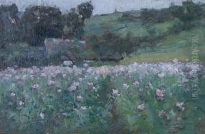 Landscape Landscape