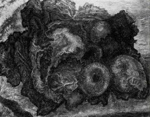 Still Life With Apples And Pears