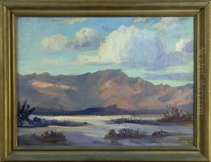Evening Cloud Shadows On The Desert