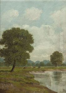 The Old Elm